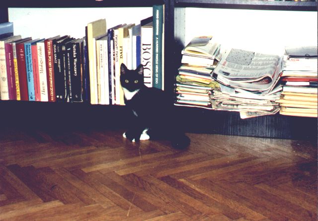 1993-07-20-klara-siedzi.jpg