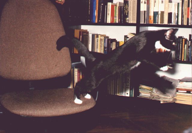 1993-07-20-klara-startuje.jpg