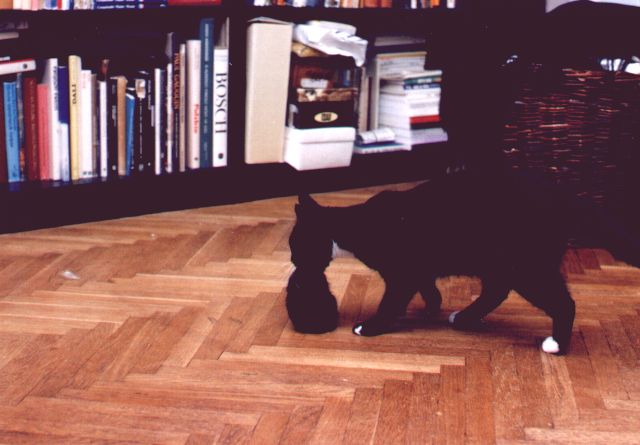 1995-xx-xx-klara-nosi-klarzeta.jpg