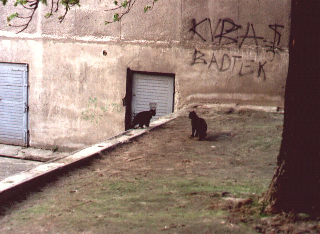 1995-xx-xx-klara-w-zalotach.jpg