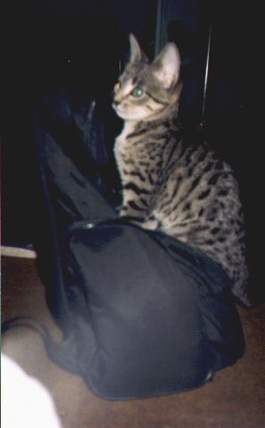 1996-12-xx-pusiar-1.jpg