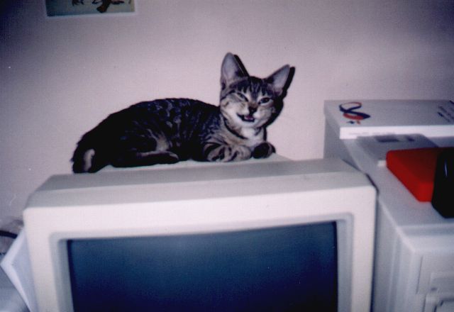 1996-12-xx-pusiar-2.jpg