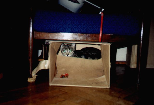 1996-12-xx-pusiar-3.jpg