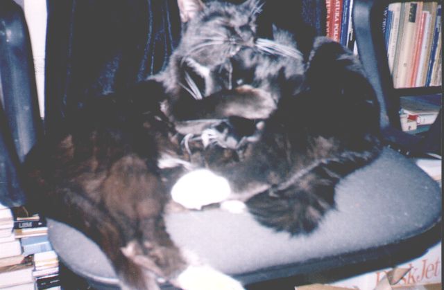 1996-xx-xx-maszenka-i--klara-1.jpg