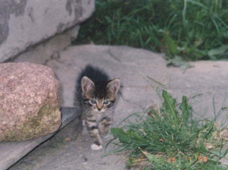 1998-08-xx-biala-1.jpg