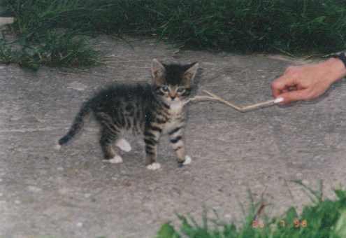 1998-08-xx-biala-2.jpg