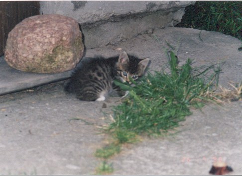1998-08-xx-biala-3.jpg