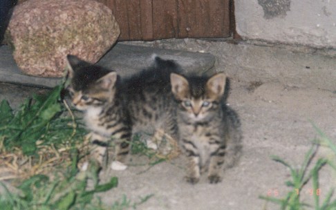 1998-08-xx-biala-i-szarsza.jpg