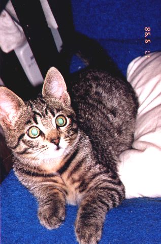 1998-09-17-szarsza.jpg