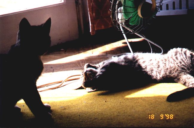 1998-09-18-biala-i-szarsza-2.jpg