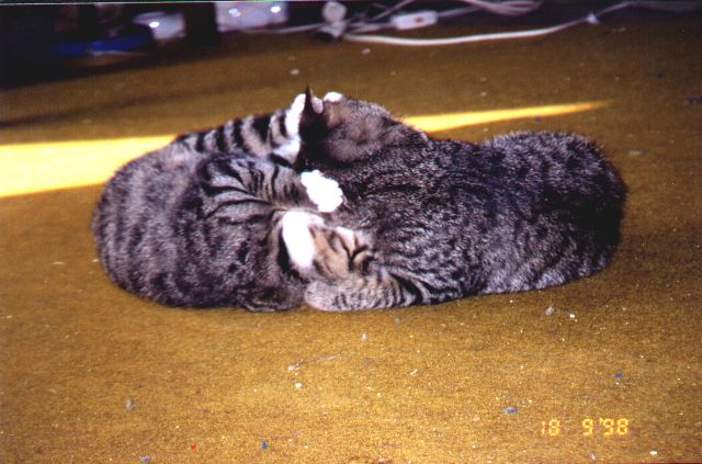 1998-09-18-biala-i-szarsza-4.jpg