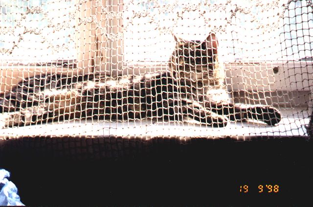 1998-09-19-pusiar.jpg