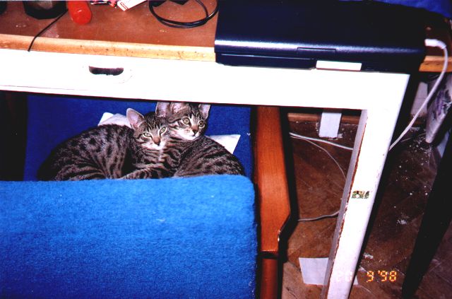 1998-09-20-biala-i-szarsza-1.jpg