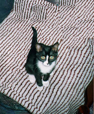 1998-09-xx-gasia.jpg