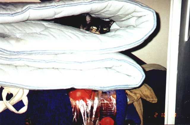 1998-10-02-kropka.jpg
