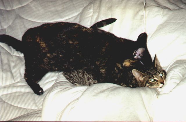 1998-10-05-kropka-i-szarsza.jpg