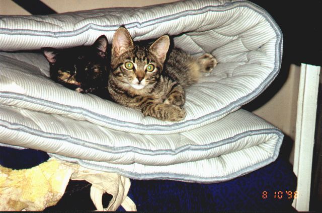 1998-10-08-kropka-i-szarsza.jpg