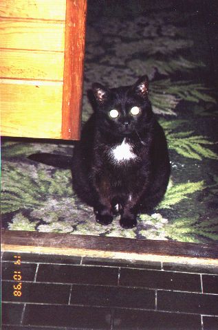 1998-10-14-pafcio-lub-hien-1.jpg