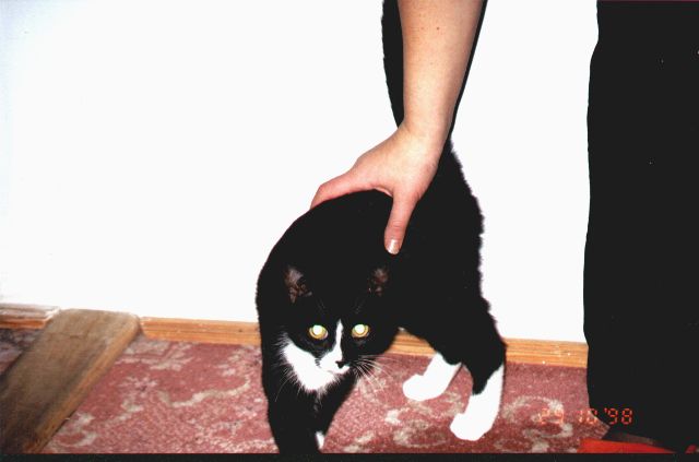 1998-10-24-gasia.jpg