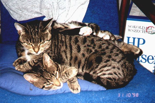1998-10-30-pusiar-biala-i-szarsza-1.jpg