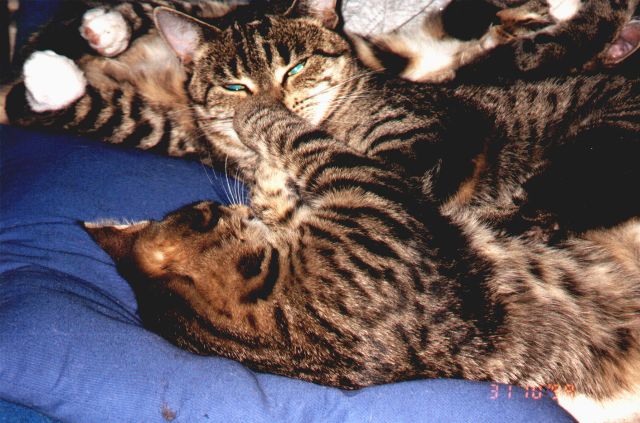 1998-10-30-pusiar-biala-i-szarsza-2.jpg