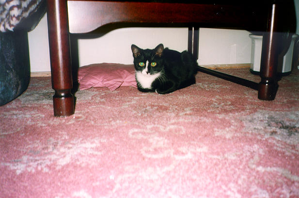 1998-10-xx-gasia.jpg