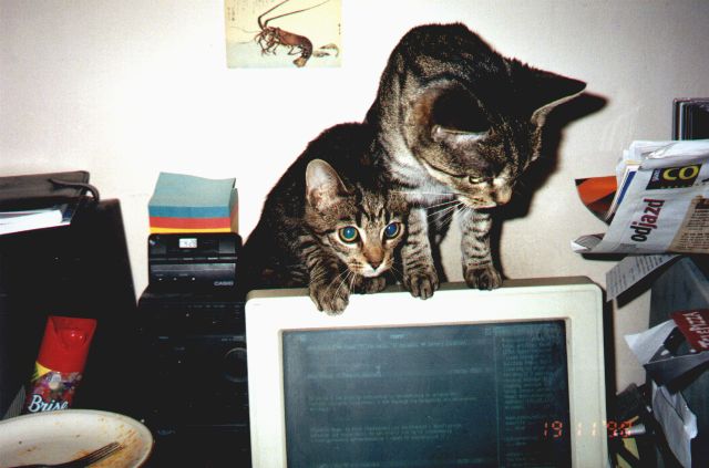 1998-11-19-szarsza-i-pusiar.jpg