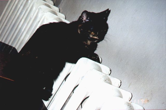 1998-11-20-kropka.jpg