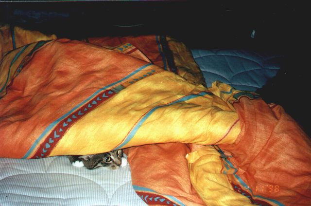 1998-11-24-biala.jpg