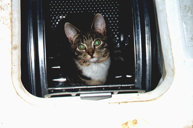1998-11-25-biala.jpg