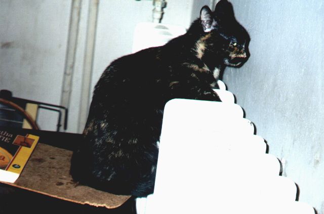 1998-11-28-kropka.jpg