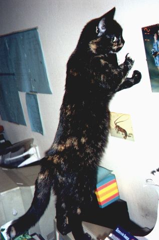 1998-12-01-kropka.jpg