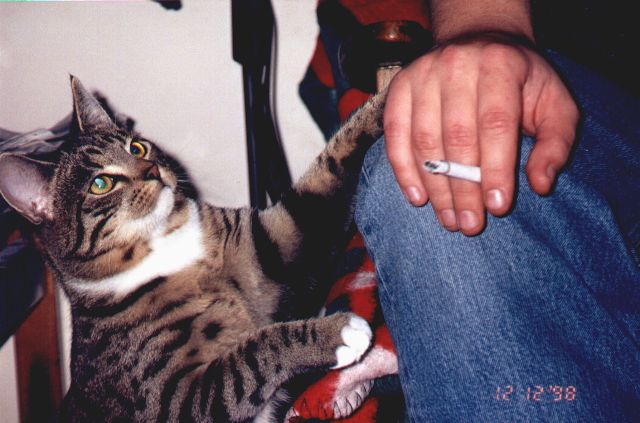1998-12-12-biala.jpg