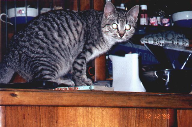 1998-12-12-wyzerka-2.jpg