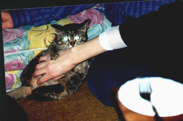 1998-12-31-wyzerka-1.jpg