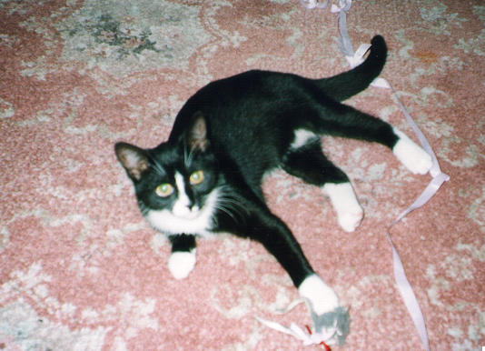 1998-12-xx-gasia.3.jpg