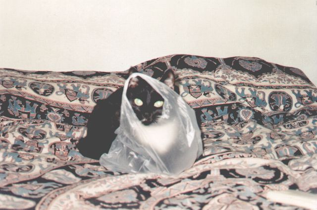 1998-xx-xx-klara-1.jpg