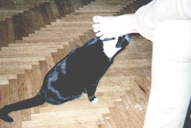 1999-01-01-klara-5.jpg