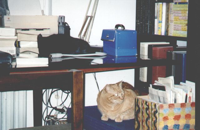 1999-01-01-plomyczek-i-klara-5.jpg