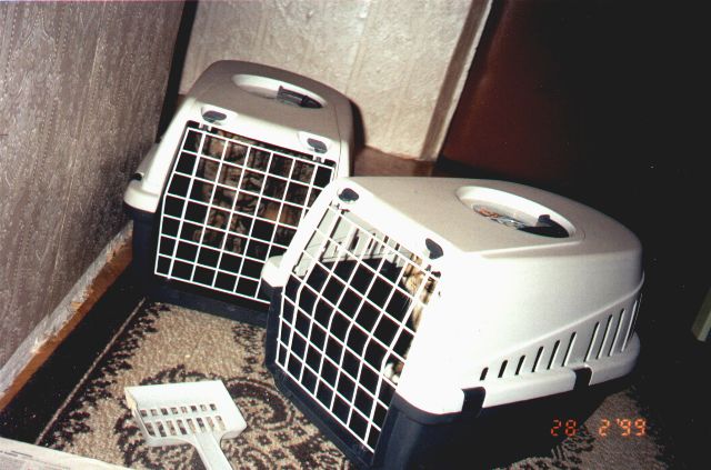 1999-02-28-biala-i-szarsza.jpg