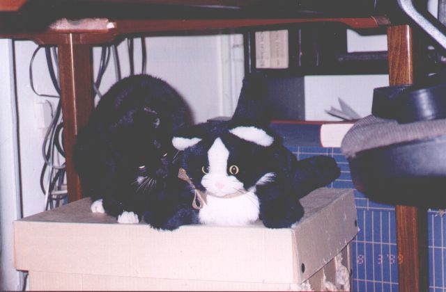 1999-03-08-klara-i-sobowtor.jpg
