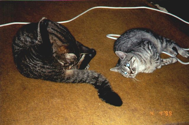 1999-04-04-szarsza-i-wyzerka.jpg