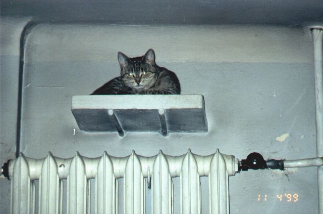 1999-04-11-pusiar.jpg