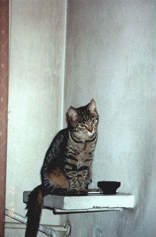 1999-04-22-szarsza.jpg