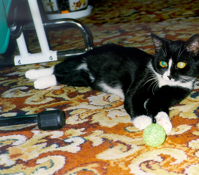 1999-04-xx-gasia.jpg