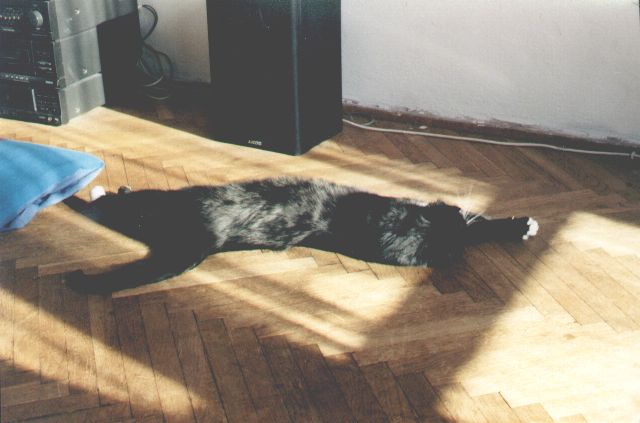 1999-04-xx-klara-1.jpg