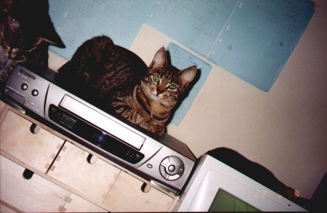 1999-05-22-szarsza.jpg