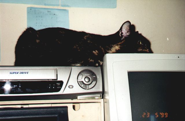 1999-05-23-kropka.jpg