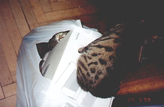 1999-05-24-pusiar.jpg