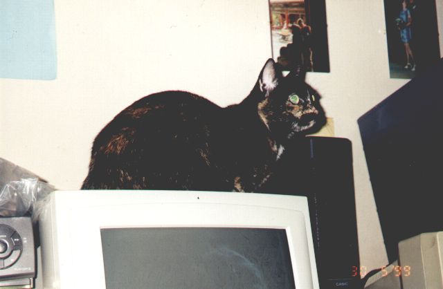 1999-05-30-kropka.jpg